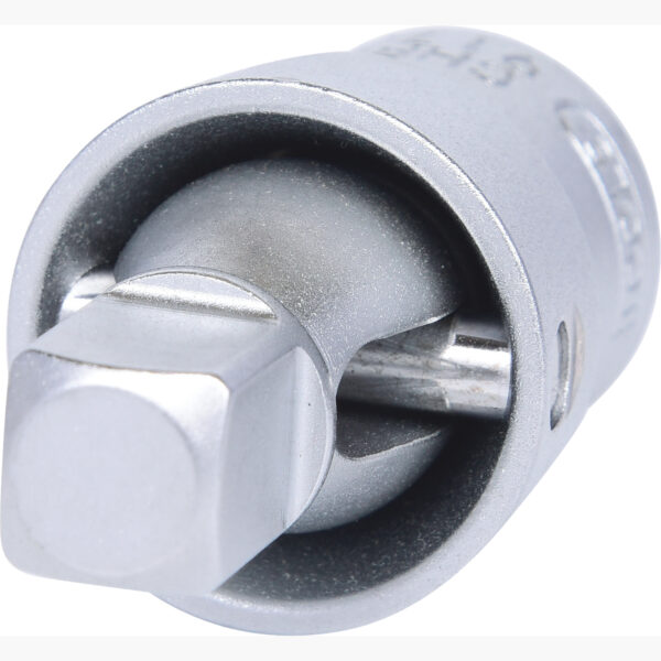 FOT_PRO_ALG_917.3850_SALL_AING_V1