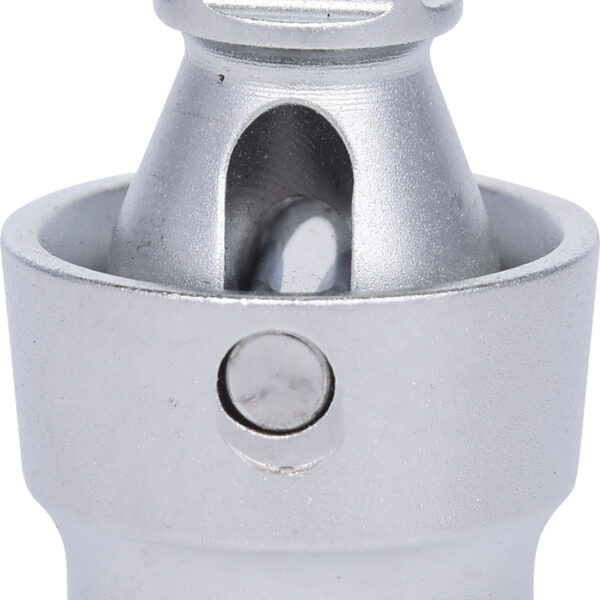 FOT_PRO_VAR_917.3850.4_SALL_AING_V1