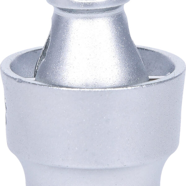 FOT_PRO_VAR_917.1450.4_SALL_AING_V1