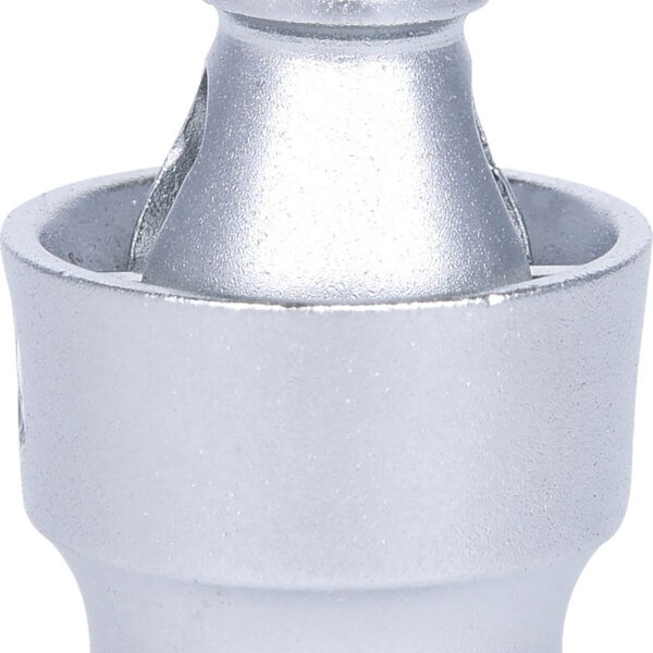 FOT_PRO_VAR_917.1450.6_SALL_AING_V1