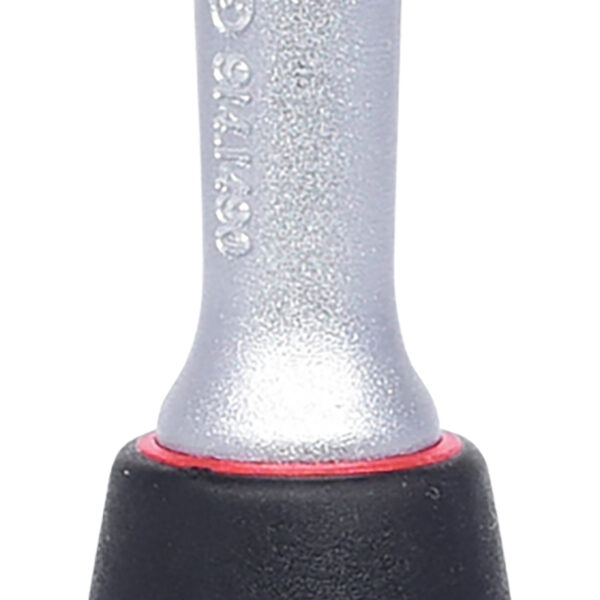 FOT_PRO_ALG_914.1490_SALL_AING_V1