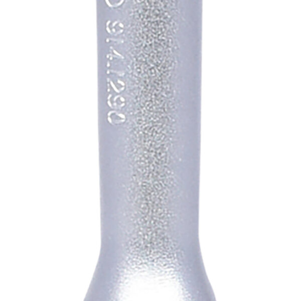 FOT_PRO_ALG_914.1290_SALL_AING_V1