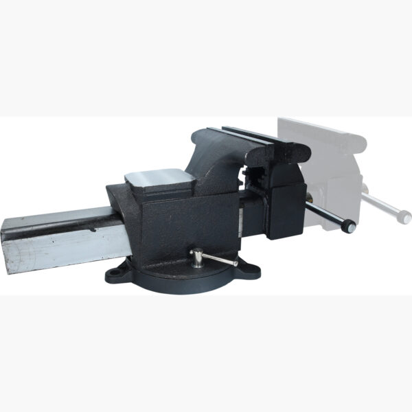 FOT_PRO_VAR_914.0008.4_SALL_AING_V1