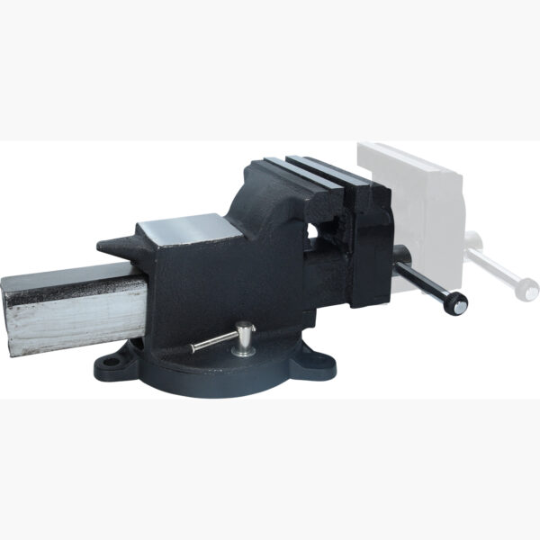 FOT_PRO_VAR_914.0005.4_SALL_AING_V1