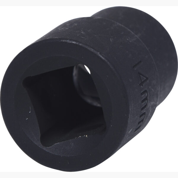 FOT_PRO_VAR_913.1467.2_SALL_AING_V1