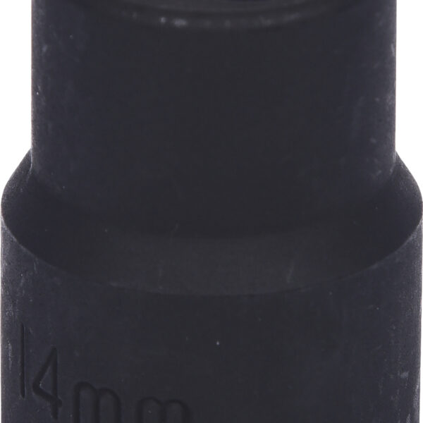 FOT_PRO_VAR_913.1467.6_SALL_AING_V1