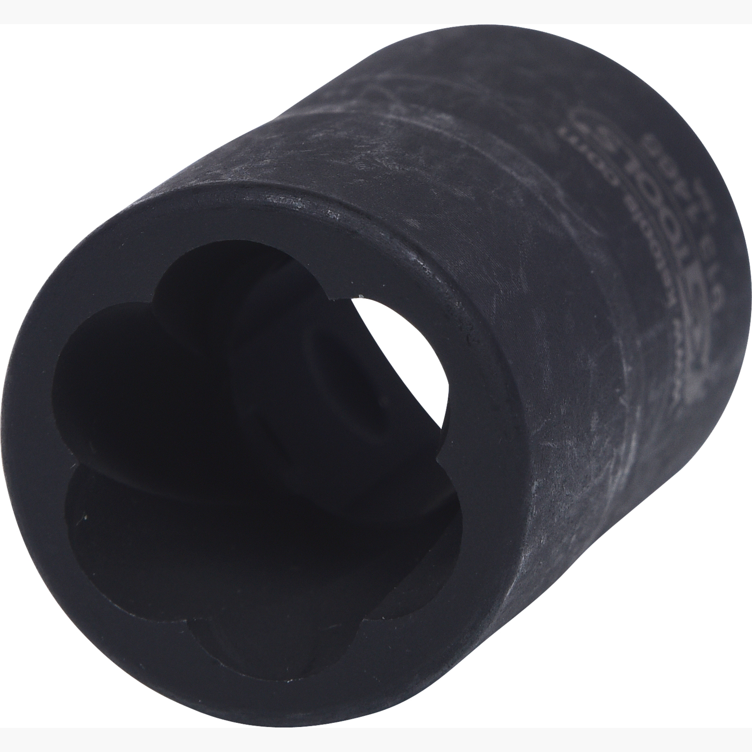 FOT_PRO_ALG_913.1465_SALL_AING_V1