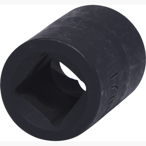 FOT_PRO_VAR_913.1465.2_SALL_AING_V1