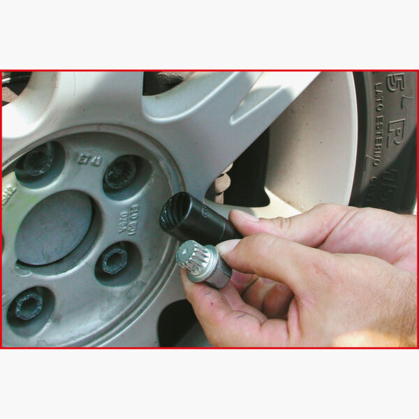 FOT_ANW_ALG_STK_913.12XX(70-82).AW3_SALL_AING_V1