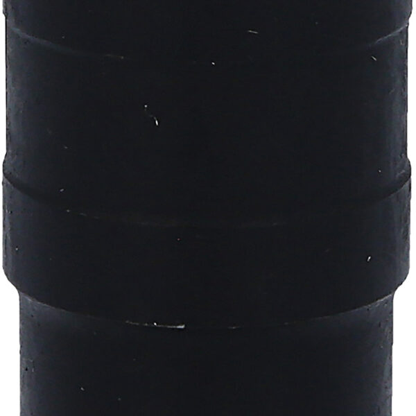 FOT_PRO_VAR_913.1273.8_SALL_AING_V1