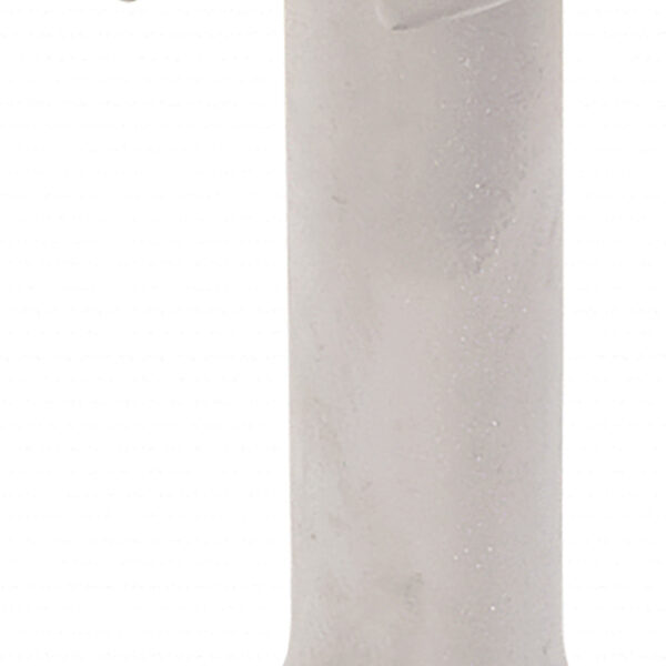 FOT_PRO_ALG_SCHL_913.1216_SALL_AING_V1