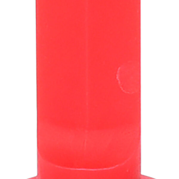 FOT_PRO_ALG_911.8132_SALL_AING_V1