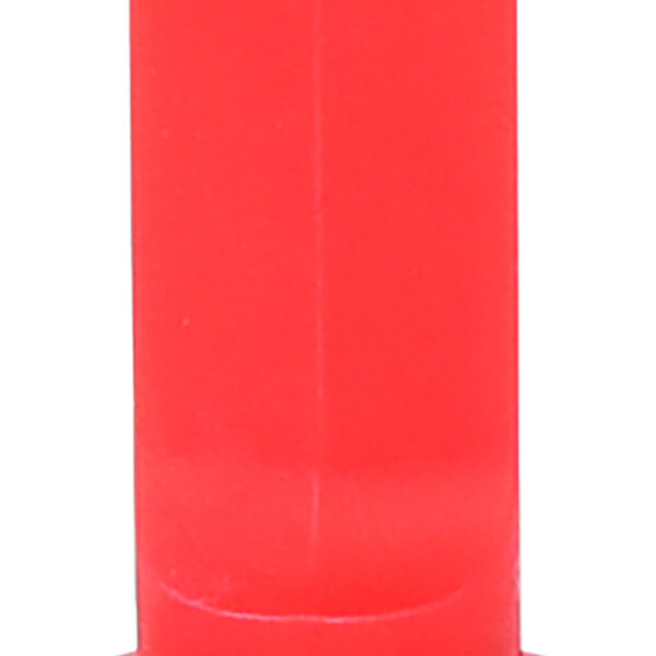 FOT_PRO_VAR_911.8132.2_SALL_AING_V1