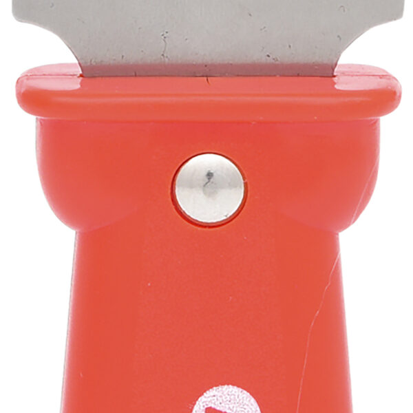 FOT_PRO_ALG_911.8126_SALL_AING_V1