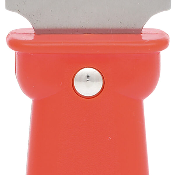 FOT_PRO_VAR_911.8126.2_SALL_AING_V1