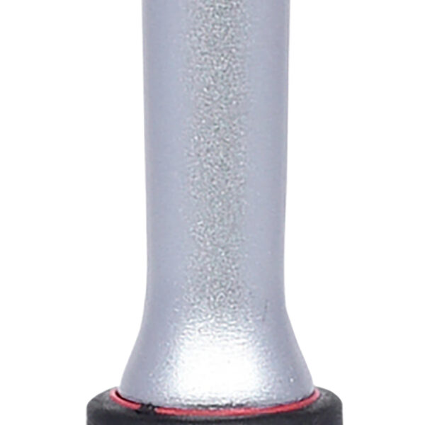 FOT_PRO_VAR_911.3800.2_SALL_AING_V1