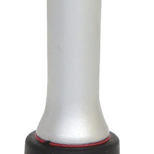 FOT_PRO_VAR_911.3800.6_SALL_AING_V1