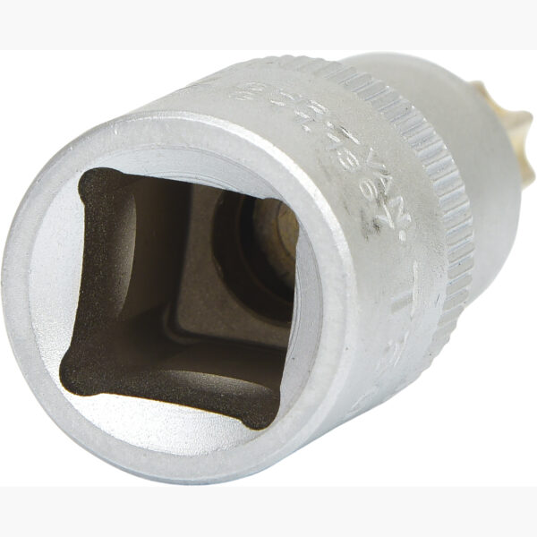 FOT_PRO_VAR_911.1367.2_SALL_AING_V1