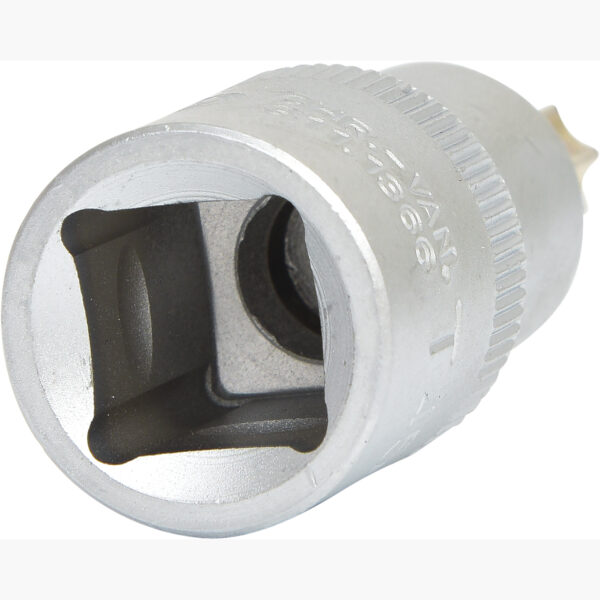 FOT_PRO_VAR_911.1366.2_SALL_AING_V1