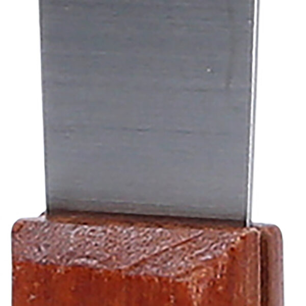 FOT_PRO_ALG_907.2261_SALL_AING_V1