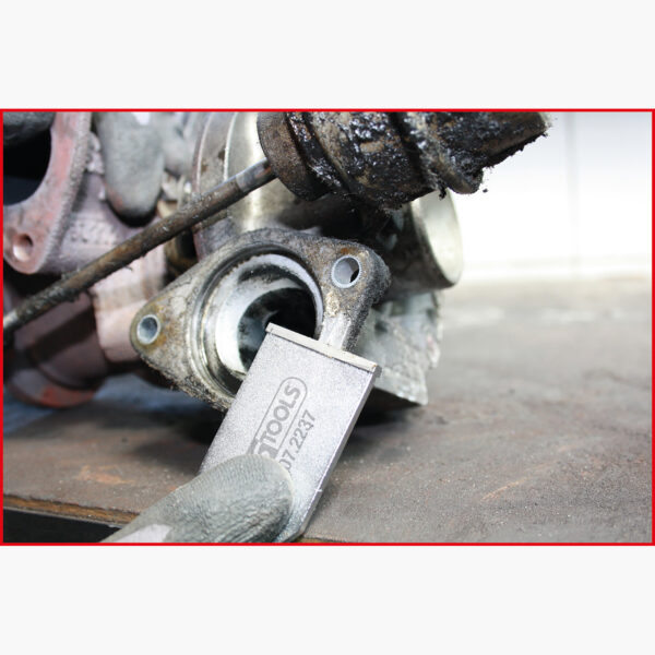 FOT_ANW_ALG_SCHESAE_907.2237.AW1_SALL_AING_V1