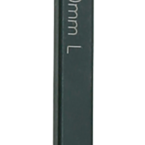 FOT_PRO_ALG_SCHESAE_907.2233_SALL_AING_V1