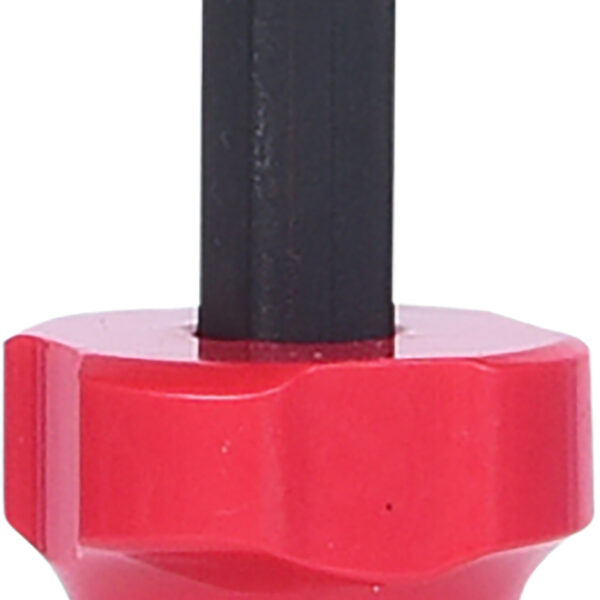 FOT_PRO_VAR_907.2232.2_SALL_AING_V1