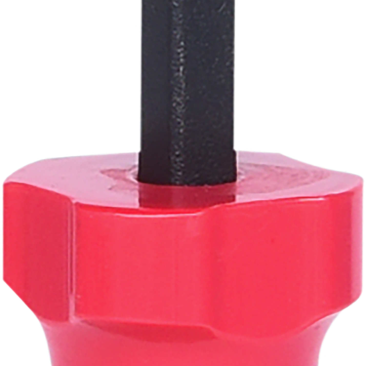 FOT_PRO_ALG_907.2231_SALL_AING_V1