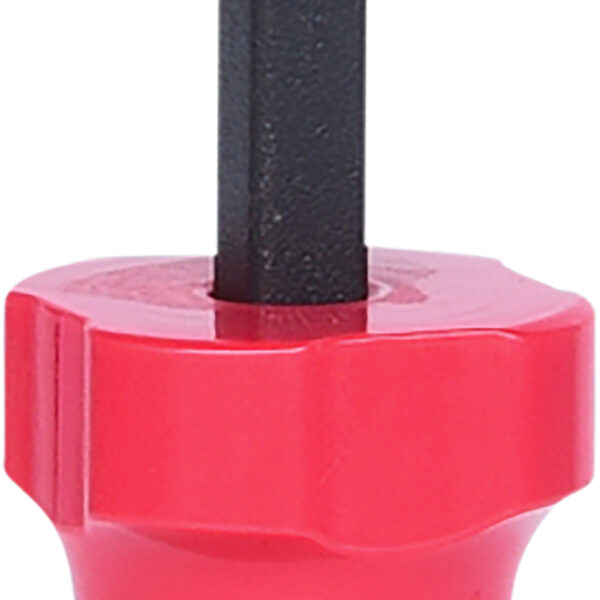 FOT_PRO_VAR_907.2231.2_SALL_AING_V1