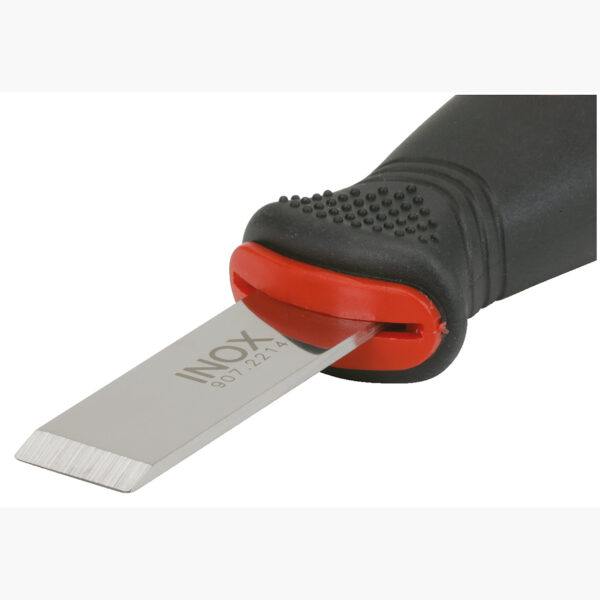 FOT_PRO_VAR_SCHESAE_907.2210.2_SALL_AING_V1