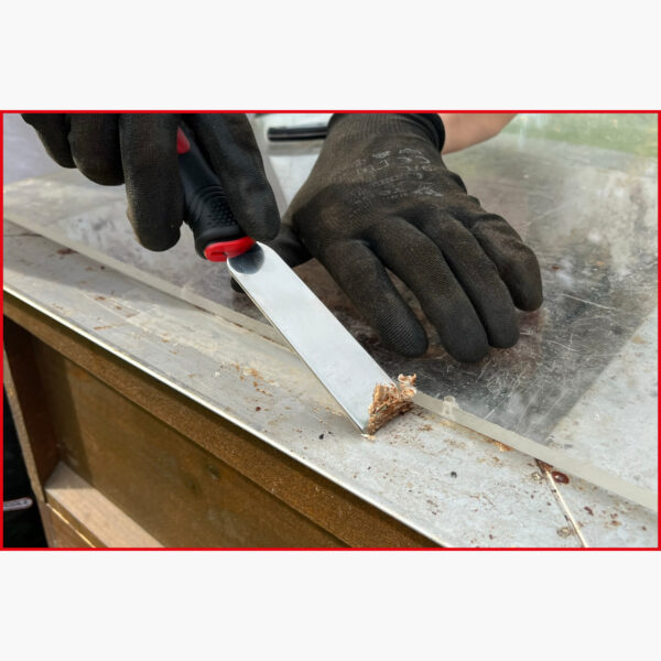 FOT_ANW_ALG_SCHESAE_907.2210.AW1_SALL_AING_V1