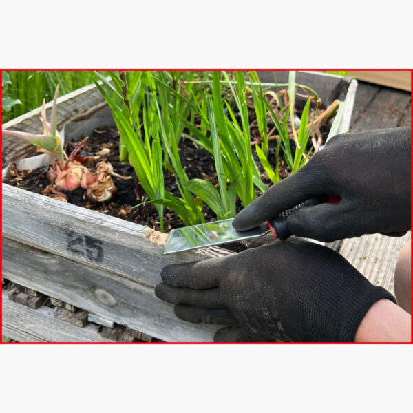 FOT_ANW_ALG_SCHESAE_907.2210.AW2_SALL_AING_V1