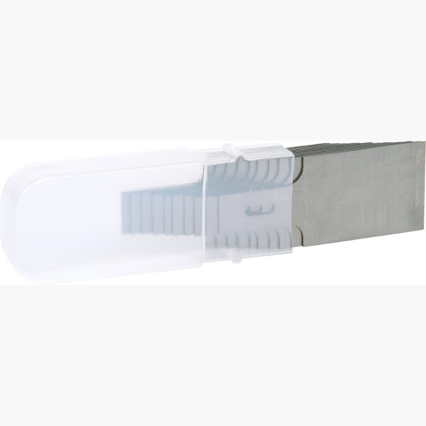 FOT_PRO_VAR_907.2205.2_SALL_AING_V1