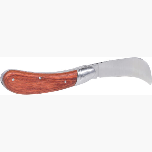 FOT_PRO_VAR_907.2186.2_SALL_AING_V1