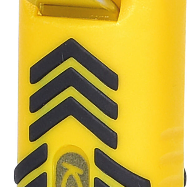 FOT_PRO_ALG_907.2184_SALL_AING_V1