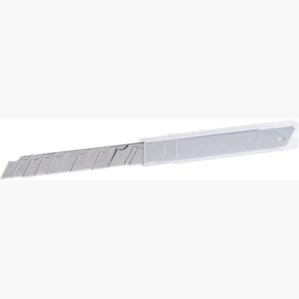 FOT_PRO_ALG_907.2168_SALL_AING_V1