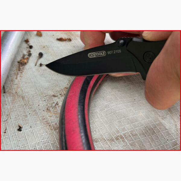 FOT_ANW_ALG_WZAL_907.2105.AW5_SALL_AING_V1