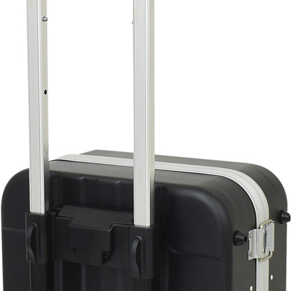 FOT_PRO_VAR_850.0530.6_SALL_AING_V1