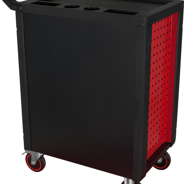 FOT_PRO_VAR_826.0007.2_SALL_AING_V1