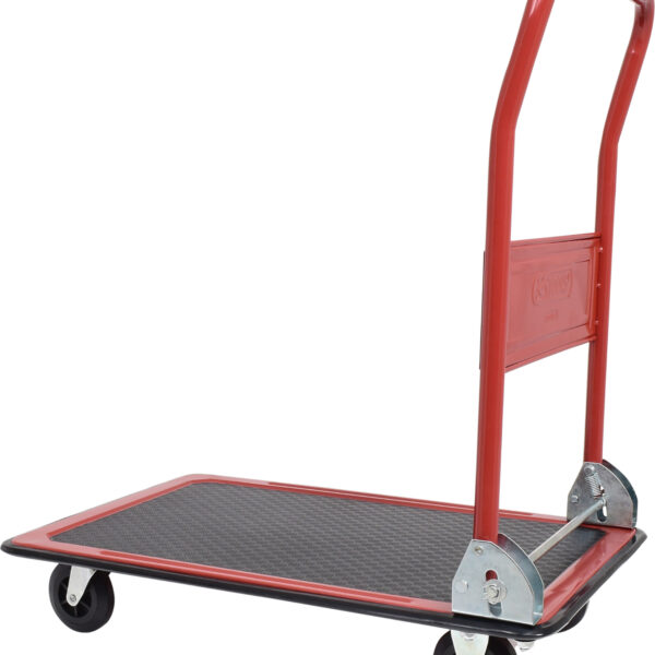 FOT_PRO_ALG_800.0015_SALL_AING_V1