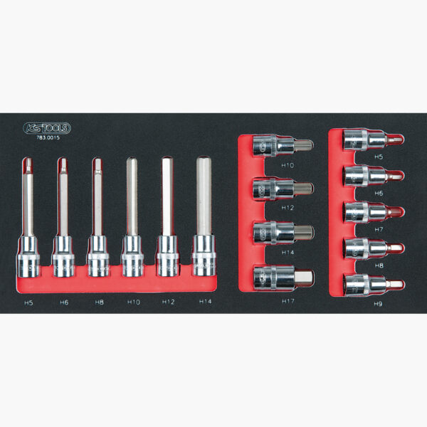 FOT_PRO_ALG_EINR_783.0015_SALL_AING_V1