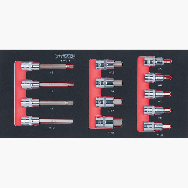 FOT_PRO_ALG_EINR_783.0013_SALL_AING_V1