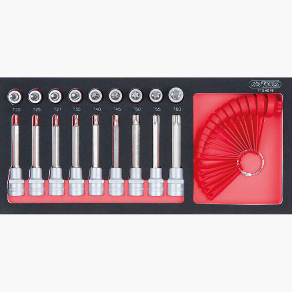 FOT_PRO_ALG_EINR_713.4019_SALL_AING_V1