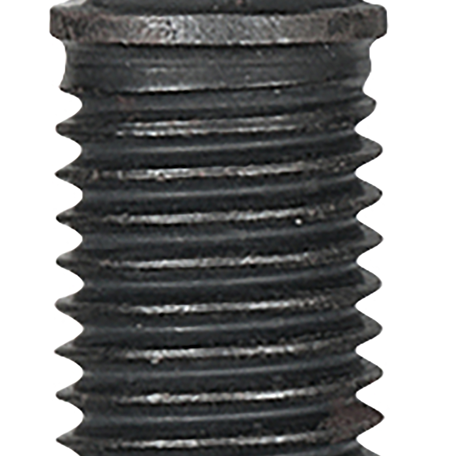 FOT_PRO_ALG_AUTO_700.5668_SALL_AING_V1