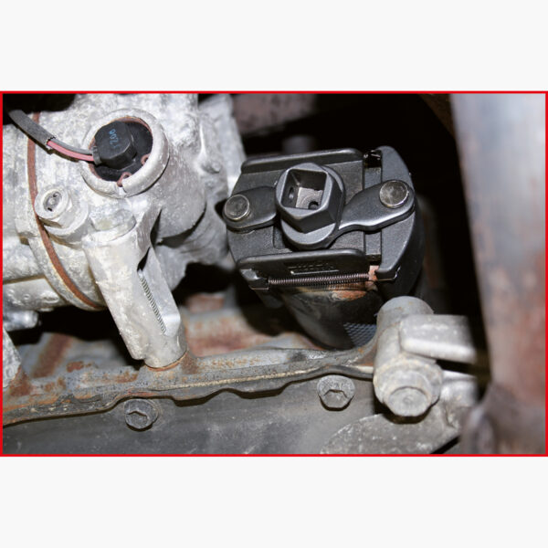 FOT_ANW_ALG_AUTO_700.500X(5-6).AW3_SALL_AING_V1