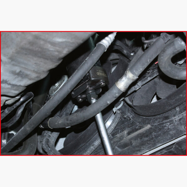 FOT_ANW_ALG_AUTO_700.500X(5-6).AW5_SALL_AING_V1