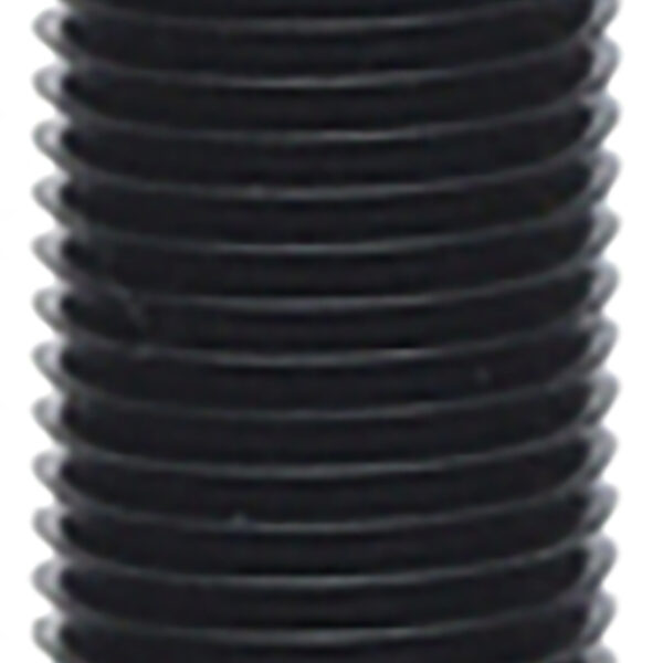 FOT_PRO_ALG_700.1713_SALL_AING_V1