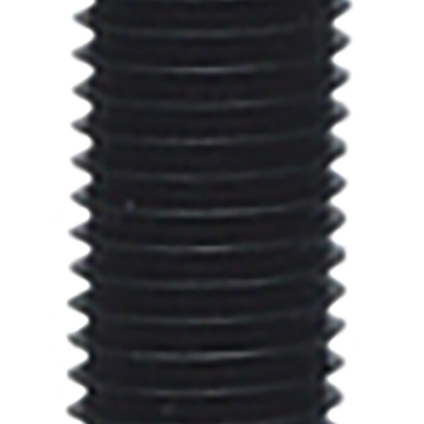 FOT_PRO_ALG_700.1711_SALL_AING_V1