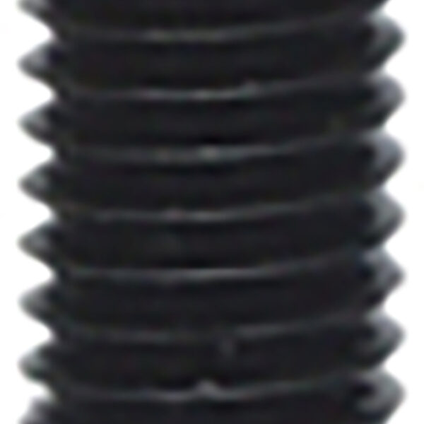 FOT_PRO_ALG_700.1710_SALL_AING_V1