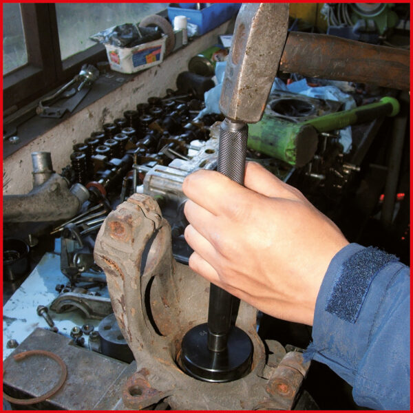 FOT_ANW_ALG_AUTO_700.1350.AW2_SALL_AING_V1